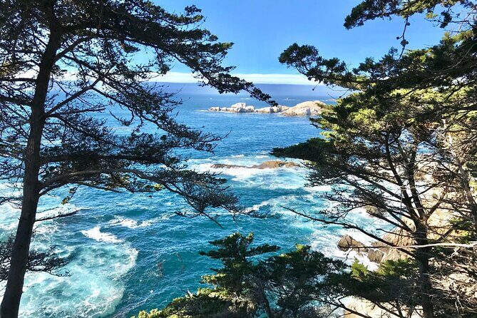 17-Mile Drive, Monterey Peninsula &Carmel Max 12 Small Group Tour - Bird Rock Vista Point and Lone Cypress: quick walks, big payoff