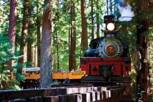 3 Day Tour to Oregon Redwood Crater Lake from San Francisco - Price and what $783 really covers