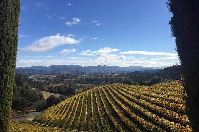 8-Hour, Private Limo Wine Tour to Napa from San Francisco - Entering the Day: Private Limo Pickup That Saves Your Energy
