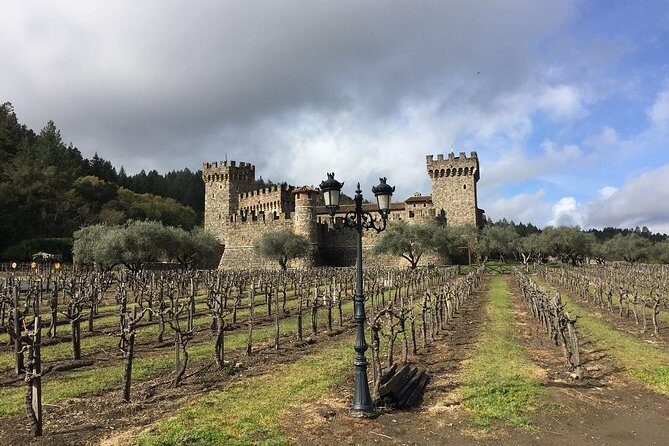 8-Hour, Private Limo Wine Tour to Napa from San Francisco - Driver Service That Changes the Vibe