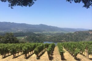 8-Hours Private Limo(up to 8 pass.) Wine Tour of Napa Valley from San Francisco - Building your own Napa schedule with your chauffeur