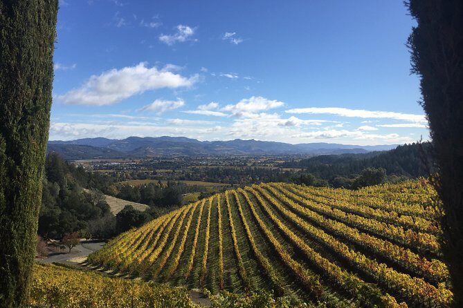 8-Hours Private Limo(up to 8 pass.) Wine Tour of Napa Valley from San Francisco - Pickup and timing: flexible starts, on-time rides