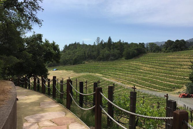 8-Hours Private Limo(up to 8 pass.) Wine Tour of Napa Valley from San Francisco - Meet the chauffeurs: Don G, Sasha, and Peter