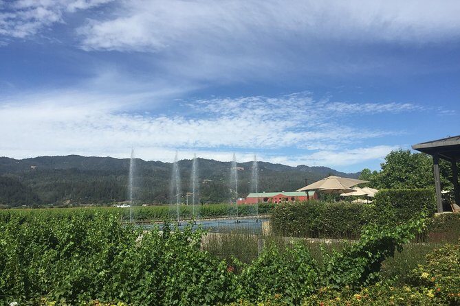 8-Hours Private Limo(up to 8 pass.) Wine Tour of Napa Valley from San Francisco - What the full day feels like (without rushing)