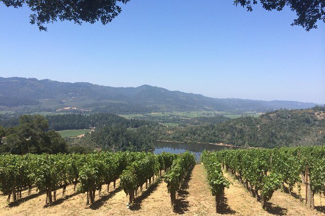 8-Hours Private Limo(up to 8 pass.) Wine Tour of Napa Valley from San Francisco - Building your own Napa schedule with your chauffeur