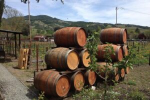 8-Hours Private SUV (up to 6 Passengers) San Francisco to Napa Valley Wine Tour - The Drive Out: How Your Chauffeur Helps You Stay on Track