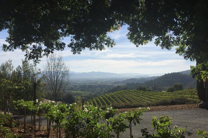 8-Hours Private SUV (up to 6 Passengers) San Francisco to Napa Valley Wine Tour - Napa Valley Stop: Building a Custom Day Around Your Tastes