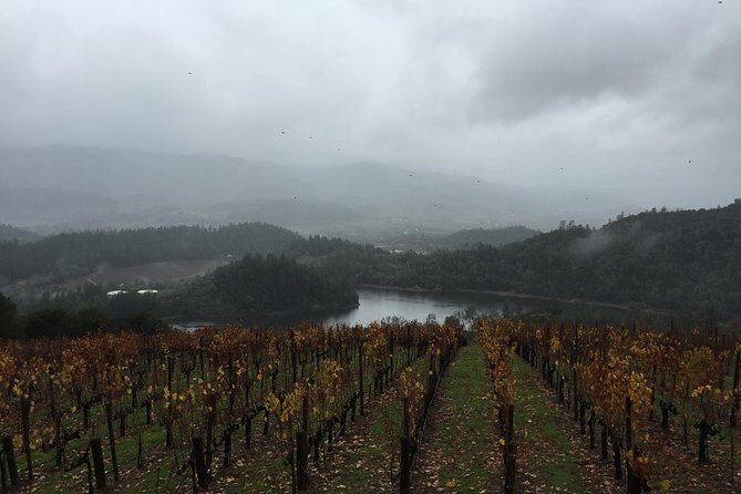 8-Hours Private SUV (up to 6 Passengers) San Francisco to Napa Valley Wine Tour - Wine Tastings: Budgeting for Fees You Pay Directly