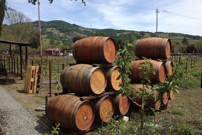 8-Hours Private SUV (up to 6 Passengers) San Francisco to Napa Valley Wine Tour - The Drive Out: How Your Chauffeur Helps You Stay on Track