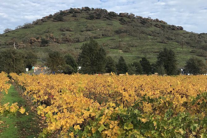 8hr Private Sonoma and Napa Wine Tour from San Francisco.XL SUV - Practical tips I’d use before your reservation day