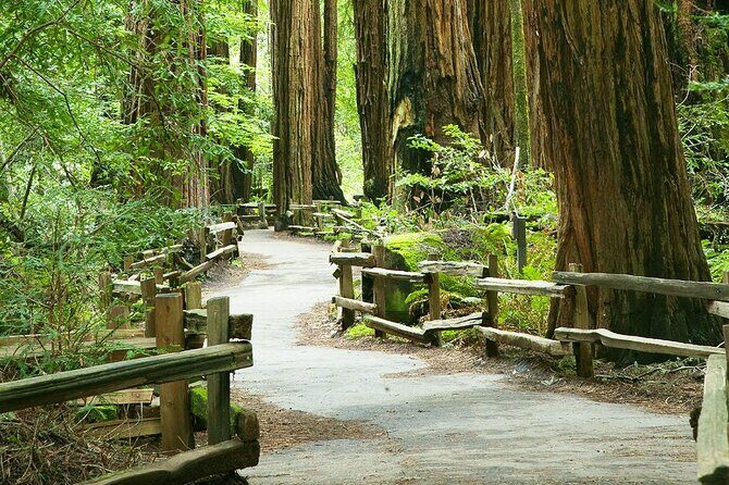 Alcatraz Muir Woods Express with Golden Gate Bridge Visit - Key things to know before you go