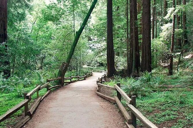 Alcatraz Muir Woods Express with Golden Gate Bridge Visit - Who should book this San Francisco trio (and who should skip it)