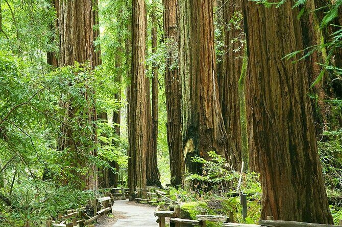 Alcatraz Muir Woods with Sausalito Express - Sausalito stop: 30 minutes for views, plus the brunch rhythm