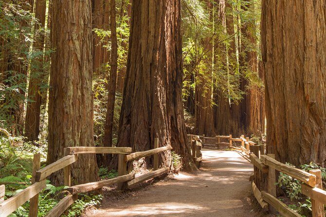 Alcatraz with Muir Woods and Sausalito Tour - Why this Alcatraz–Muir Woods–Sausalito combo works