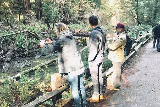 Amazing Muir Woods and Sausalito Tour - Sausalito Boardwalk: Houseboats, Lunch, and Art in One Hour