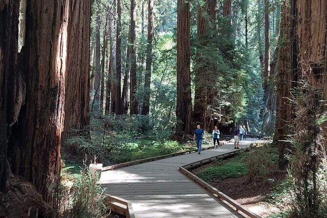 Amazing Muir Woods and Sausalito Tour - Price and Value: When $89 Feels Fair