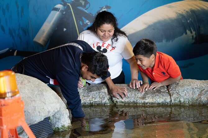Aquarium of the Bay VIP Experience - Animal Care habitat prep: the education you can actually use