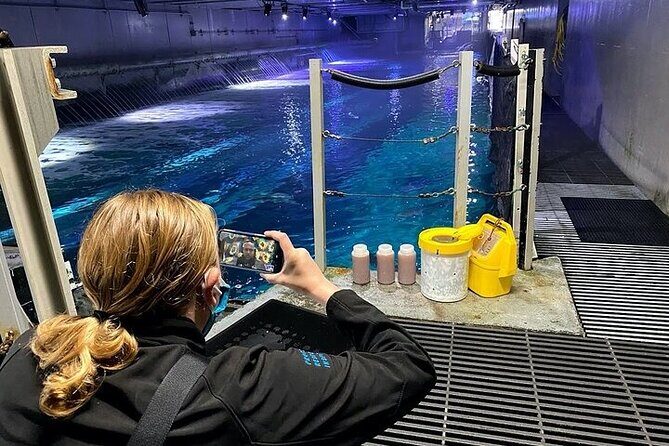 Aquarium of the Bay VIP Experience - River otter training video: a strong ending for curious minds
