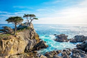 Best of Monterey Peninsula & Carmel-the-Sea Small Group Tour - Getting Started in San Francisco: Pickup That Sets the Tone