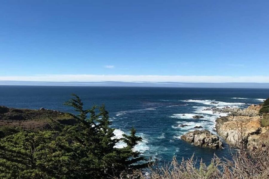 Best of Monterey Peninsula & Carmel-the-Sea Small Group Tour - Price and Value for $118: What You Actually Get