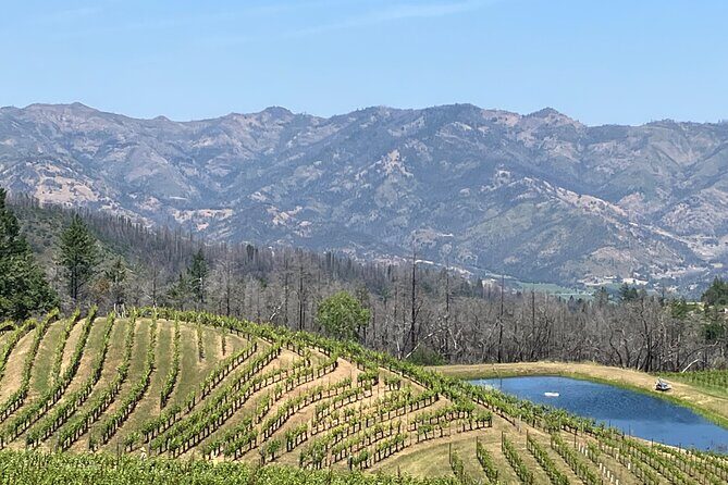 Best Private Wine Tours of Napa Valley-Sonoma for up to 8 people - Comfort for eight people: van size, music, and the little stuff