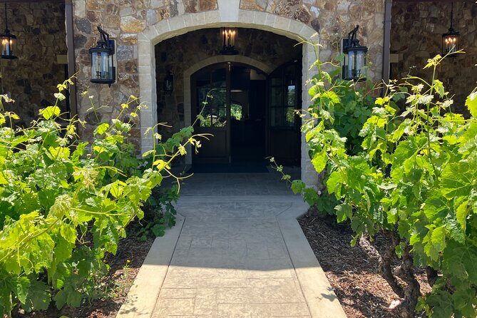 Best Private Wine Tours of Napa Valley-Sonoma for up to 8 people - What makes the schedule work (and where it can feel tight)