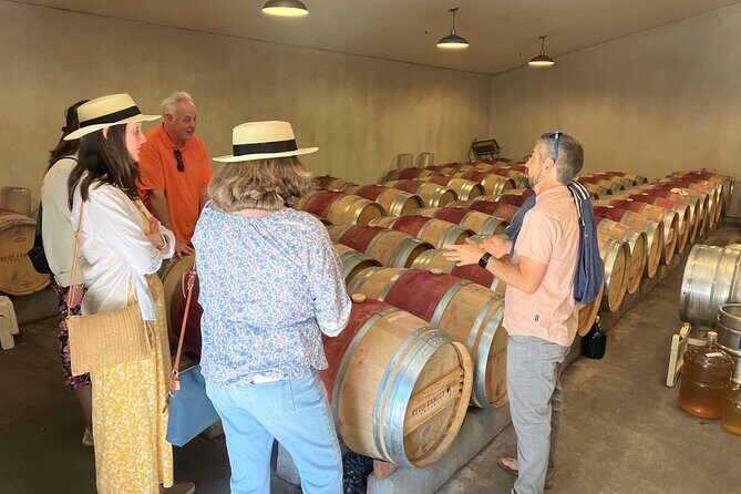 Best Private Wine Tours of Napa Valley-Sonoma for up to 8 people - Napa first: what that opening drive time is really for