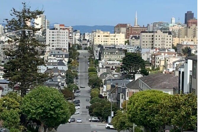 Billionaire Row and Palace of Fine Art Walking Tour - Divisadero Street: Billionaire Row Begins at Street Level