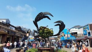 Bus & Boat & Bike Adventure - 3 Tours in 1 - Fisherman’s Wharf Bay Cruise: 60 Minutes for Golden Gate + Alcatraz