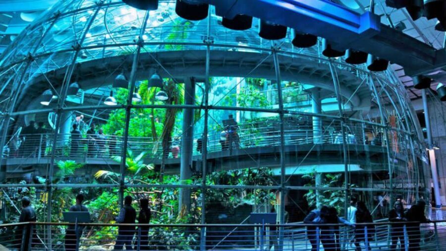 California Academy of Sciences Thursday NightLife Admission - Your Night Starts at 55 Music Concourse Dr