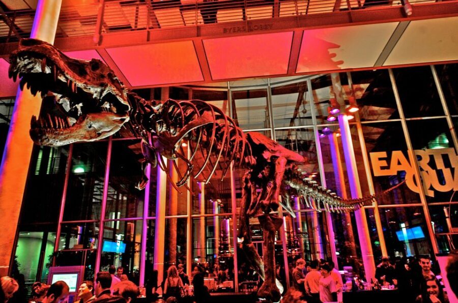 California Academy of Sciences Thursday NightLife Admission - The Aquarium After Dark: Animals Up Close, Not Backlit Photos