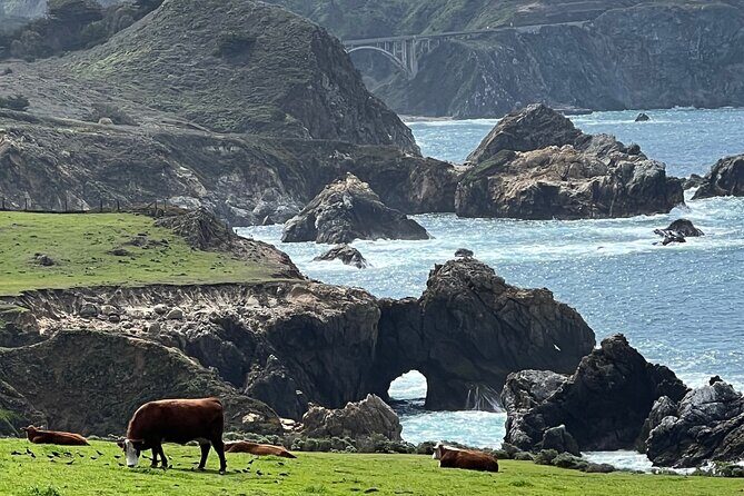 Carmel, Monterey and Big Sur Tour Private Tour from San Francisco - Santa Cruz, Pacific Grove, Monterey: how the day keeps variety