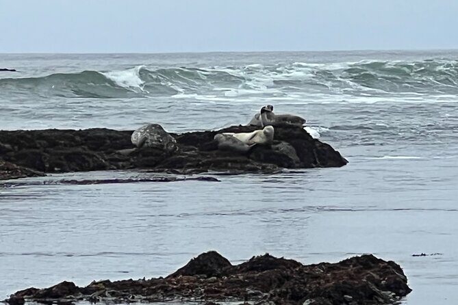 Carmel, Monterey and Big Sur Tour Private Tour from San Francisco - Private tour value: is $985 per group worth it?