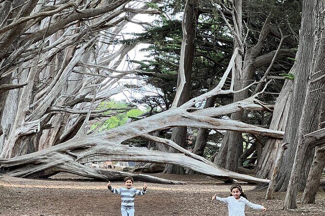 Carmel, Monterey and Big Sur Tour Private Tour from San Francisco - Who should book this tour—and who should think twice