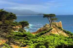 Carmel / Monterey Hwy 1 tour - Private Door-to-View Transport From San Francisco