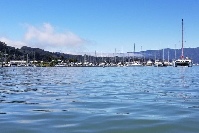 Combo Small-Group Tour: SF City plus Muir Woods & Sausalito - Value and price: what $154 buys you in real terms