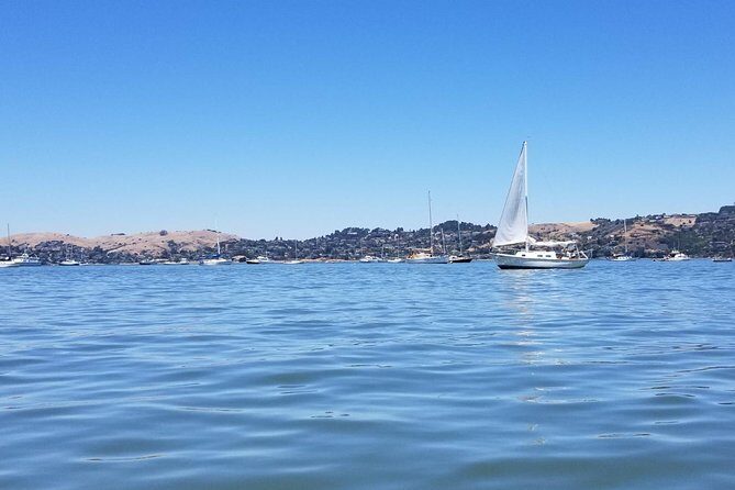 Combo Tour: Muir Woods, Sausalito and Sonoma Wine Country Tour - Muir Woods National Monument: where the walking actually matters