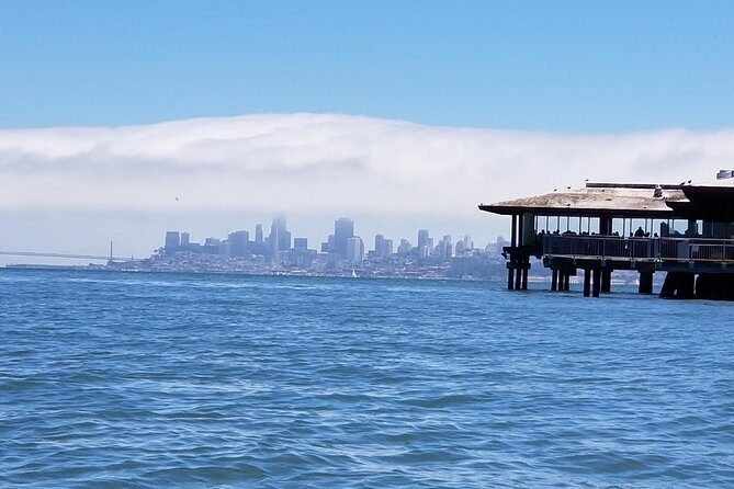 Combo Tour: Muir Woods, Sausalito and Sonoma Wine Country Tour - Homewood and Jacuzzi Family Vineyards: what you’ll actually get from the tastings
