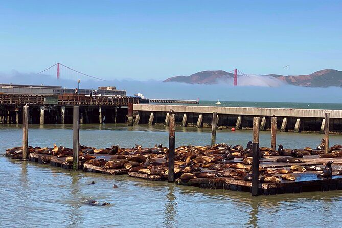 Fisherman’s Wharf Highlights Tour + Golden Gate Bay Voyage - Key highlights worth your attention