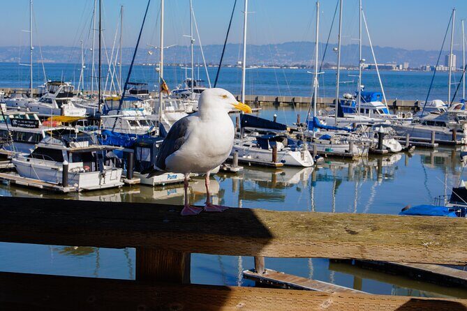 Fisherman’s Wharf & Pier 39 Food Tour - Includes Full Meal, 3 hrs - Logistics: timing, walking distance, and where you end up