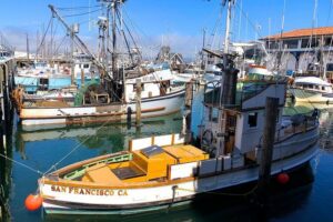Fisherman's Wharf Walking Tour - Starting at 700 Beach St: you’ll know exactly where to meet