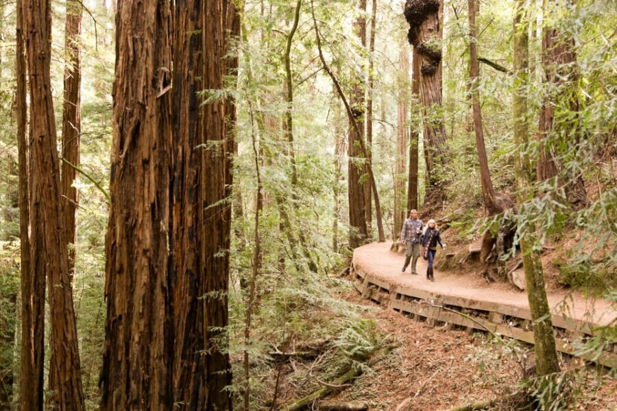 From San Francisco: Alcatraz Night & Muir Woods & Sausalito - Muir Woods: 1.5 Hours with Coastal Redwoods