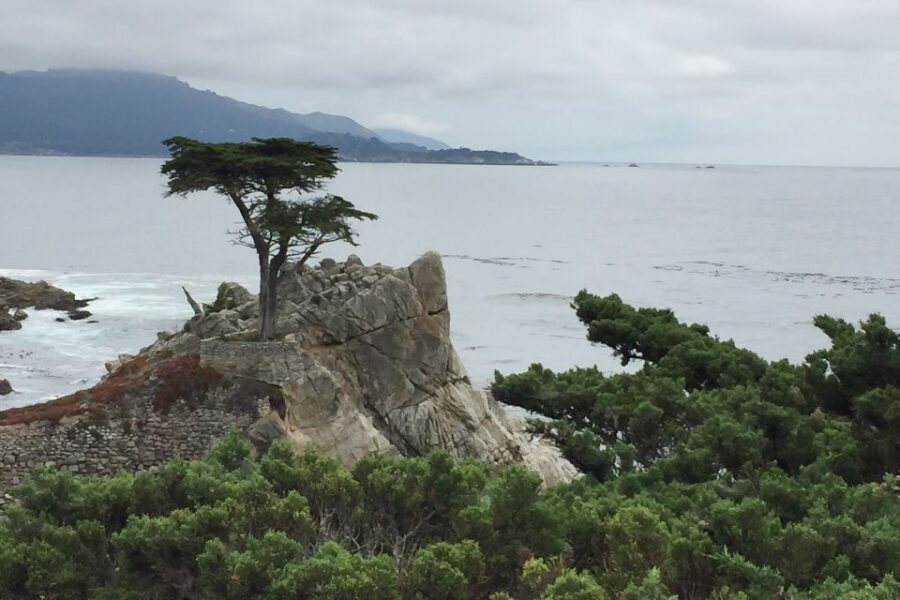 From San Francisco: Carmel, Monterey & Big Sur Private Tour - 17-Mile Drive: The Forested Scenic Loop That Turns Transit Into a Destination