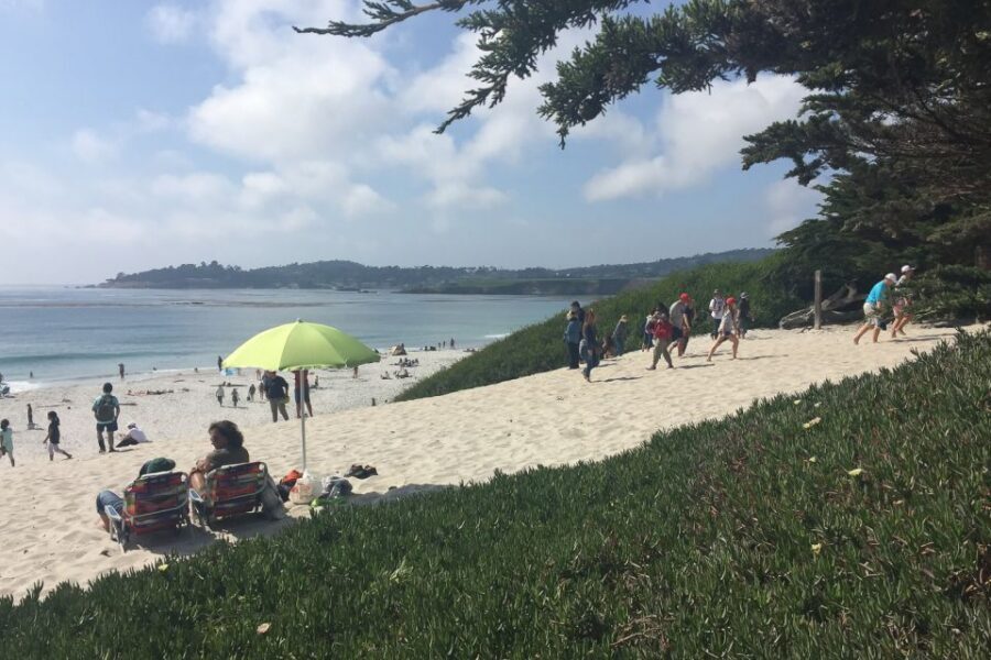 From San Francisco: Carmel, Monterey & Big Sur Private Tour - Food, Photo Stops, and the Car Rules You Should Actually Plan For