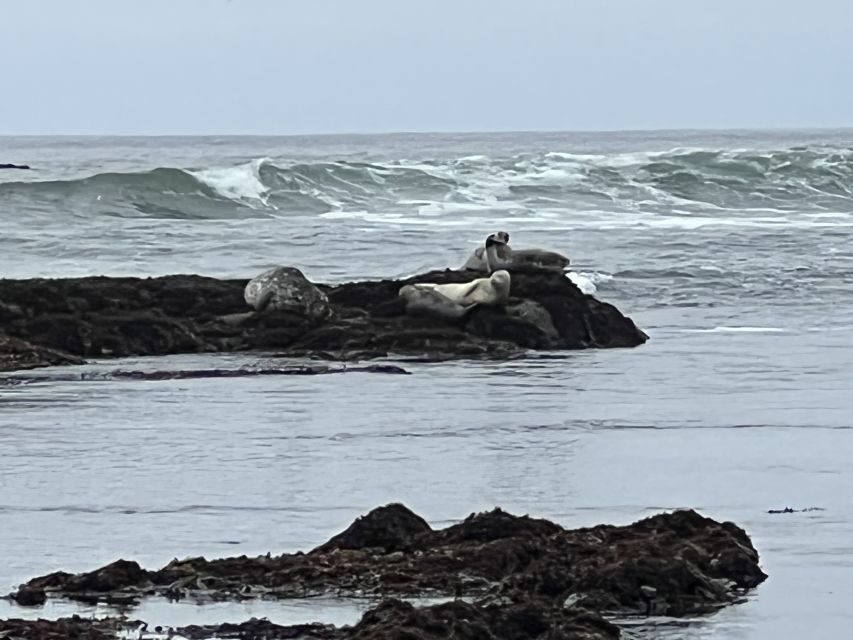 From San Francisco: Carmel, Monterey & Big Sur Private Tour - Price and Logistics: What $926 Per Group Really Buys You