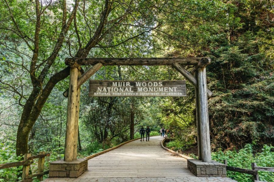 From San Francisco: Guided Muir Woods Tour - Why This Muir Woods Day Trip Works From San Francisco’s Waterfront