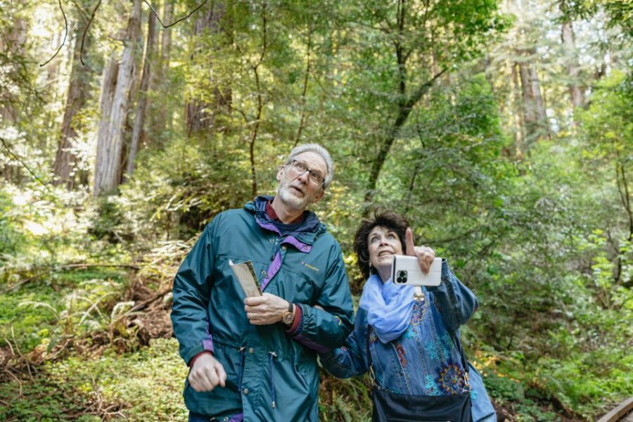 From San Francisco: Guided Muir Woods Tour - Who This Tour Fits Best (and Who Might Want More Flexibility)