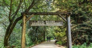From San Francisco: Guided Muir Woods Tour - The Golden Gate Drive: A Mini Orientation You Won’t Regret