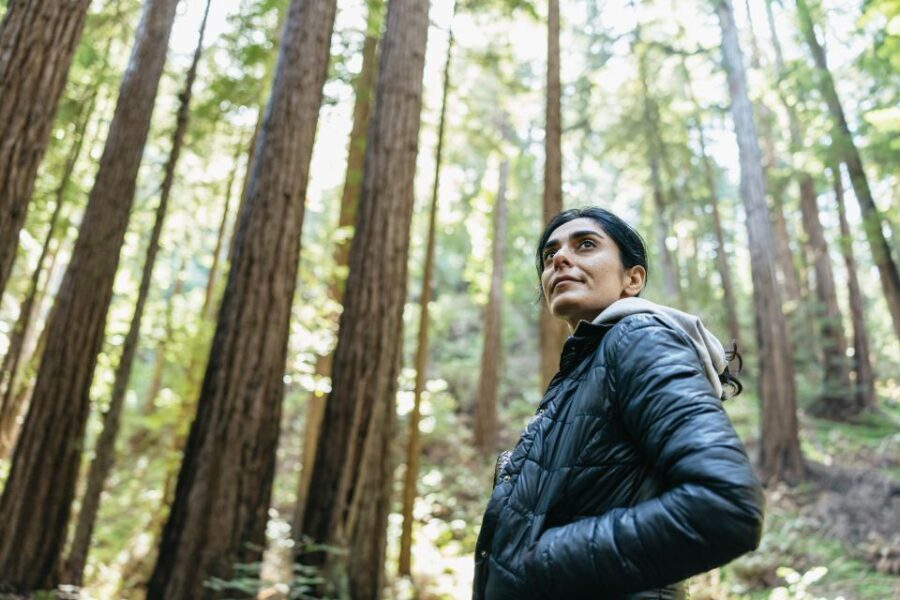 From San Francisco: Guided Muir Woods Tour - 1.5 Hours Inside Muir Woods: What You Can Actually Do in Real Time