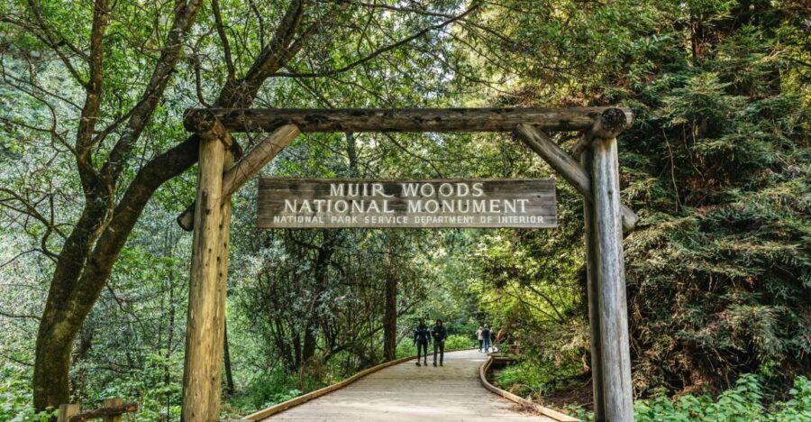 From San Francisco: Guided Muir Woods Tour - The Golden Gate Drive: A Mini Orientation You Won’t Regret